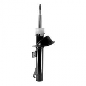 Amortecedor Pressuriz. -peugeot - 206 / 206 Sw - 01/1999 - 12/2009 - Conversivel - Exceto Escapade - Dianteiro - Dir