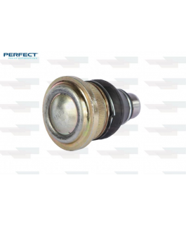 PIVO INF. LD/ LE - RENAULT GRAND SCENIC  2007/2009  RENAULT LOGAN  2007/...  RENAULT MEGANE  2006/...  RENAULT SANDER PERFECT