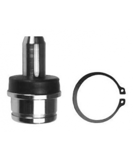 Pivo De SuspensÃo -  Superior; Ford F1000 93/98 4x2, F250 99/12 4x2, F350 99/21 4x2, Troller T4 01/14