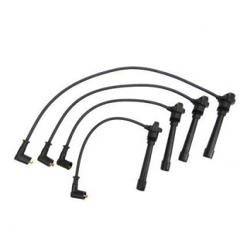 CONJUNTO DE CABOS DE IGNICAO GC5021 GAUSS