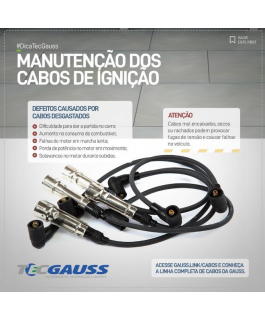 CONJUNTO DE CABOS DE IGNICAO GC5024 GAUSS