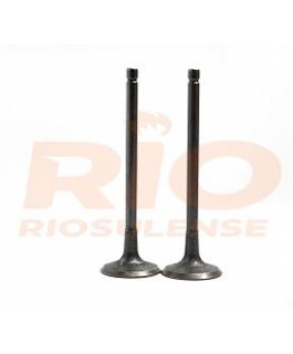 VALVULA ADMISSAO SCENIC MOT F4R 20 L 16V - SCENIC / MEGANE II MOTOR F4R 2.0 LTS 16V RIOSULENSE