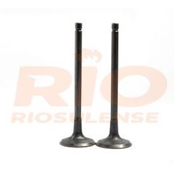 VALVULA ESCAPE SCENIC MOT F4R 20 L 16V - SCENIC / MEGANE II MOTOR F4R 2.0 LTS 16V RIOSULENSE VALVULA ESCAPE SCENIC MOT F4R 20 L 16V - SCENIC / MEGANE II MOTOR F4R 2.0 LTS 16V RIOSULENSE