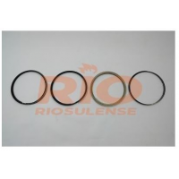 ANEL DE PISTAO ( 1,00 ) SPE/4 1.0 L 8V SOHC L4 FLEX +1,00 - ANEL DE PISTAO SPE/4 1.0 L 8V SOHC L4 FLEX +1,00 RIOSULENSE