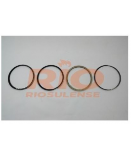 ANEL DE PISTAO ( 1,00 ) SPE/4 1.0 L 8V SOHC L4 FLEX +1,00 - ANEL DE PISTAO SPE/4 1.0 L 8V SOHC L4 FLEX +1,00 RIOSULENSE