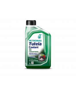 ADITIVO RADIADOR - CX12 - VERDE CONCENTRADO INORGANICO - 76362E16BR PETRONAS