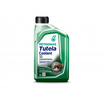 ADITIVO RADIADOR - CX12 - VERDE CONCENTRADO INORGANICO - 76362E16BR PETRONAS