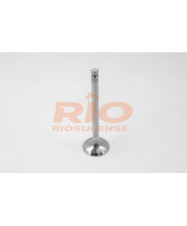 VALVULA ADMISSAO GOL 1.0 16V EA 111 - GOL/SAVEIRO (97-02)VOLKSWAGEN EA111 AT 1.0 16V L4 DOHC RIOSULENSE