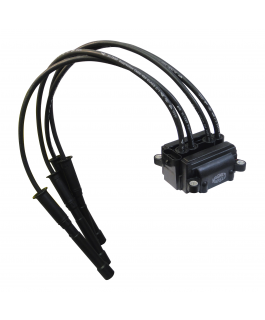 BOBINA DE IGNICAO COM 4 CABOS DE VELAS FIXACAO E 4 PARAFUSOS.  CLIO 1.0 16V FLEX 2005...  KANGOO 1.0 16V FLEX 2005...  L MAGNETI MARELLI