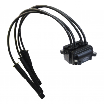 BOBINA DE IGNICAO COM 4 CABOS DE VELAS FIXACAO E 4 PARAFUSOS.  CLIO 1.0 16V FLEX 2005...  KANGOO 1.0 16V FLEX 2005...  L MAGNETI MARELLI