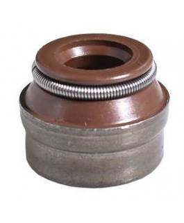Retentor Motor