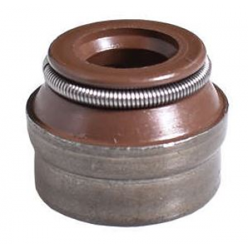Retentor Motor