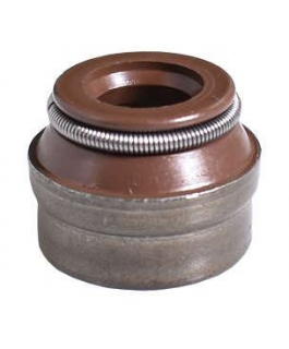 Retentor Motor