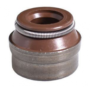 Retentor Motor