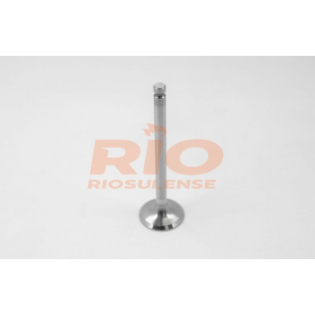 VALVULA ADMISSAO ZETEC ROCAM 1.0 LTS 8V - FIESTA / KA MOTOR: ZETEC-ROCAM 1.0 LTS. 8 V ( 3 RAN ) RIOSULENSE VALVULA ADMISSAO ZETEC ROCAM 1.0 LTS 8V - FIESTA / KA MOTOR: ZETEC-ROCAM 1.0 LTS. 8 V ( 3 RAN ) RIOSULENSE