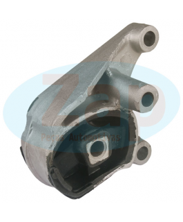 COXIM MOTOR/CAMBIO ZAP
